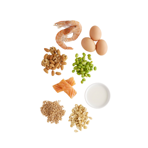 Principales alérgenos alimentarios como marisco, huevos, frutos secos y lácteos para el curso de manipulador de alimentos.