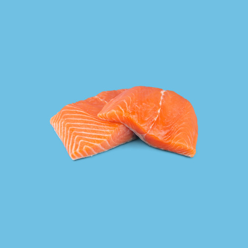 Lomos de salmón fresco para el curso de manipulador de alimentos en el sector de la pesca y acuicultura.