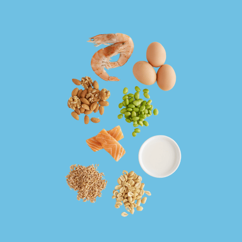 Control de alérgenos en alimentación como marisco, huevos, frutos secos y lácteos para el curso de manipulador de alimentos.